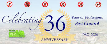 Brezden Pest Control Celebrates 36th Year In Business Pest Control Pests Control