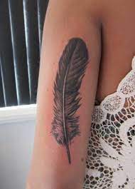 When we were young, we were eager to have a pair of independent wings to break away from the meticulous care of our parents; Feather By Rmethric55 On Deviantart