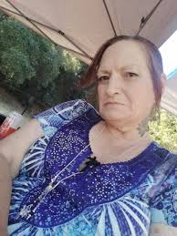 Dogs in need of rescue at Stockton street sanctuary