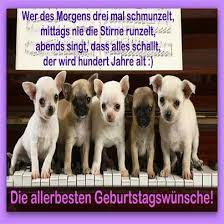 Heute ist mein burzeltag, also dachte ich, dass ich mal mir selbst ein geschenk mache: Ich Wunsche Dir Alles Gute Zum Burzeltag Lustige Geburtstagsspruche Geburt Alles Gute Geburtstag