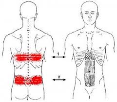 Want to learn more about it? 47 Trigger Points Ideas Trigger Points Massage Therapy Trigger Point Therapy