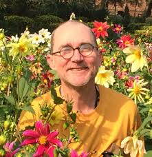 Amazon.com: Dr. Dan Mendelsohn Aviv: books, biography, latest update