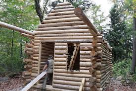 These Determined Folks Built Their Own Log Cabins In The Woods Loveproperty Com