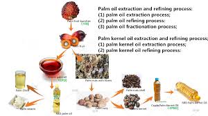 Crude palm oil (cpo) from the cpo storage tank. Products Of Palm Oil Extraction And Refining Palm Oil Extraction Faq