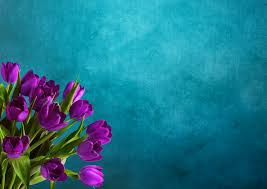 Gambar : tulip, gambar latar belakang, buket bunga, ungu, kartu pos, Bunga,  pola, teks bebas, Selamat, ulang tahun, perayaan, mulia, dekoratif, cinta,  persahabatan, ucapan digital, kartu ucapan, ramah, hijau, menanam, tanaman  berbunga,