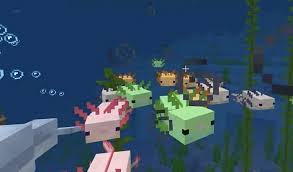 Simply input that and a blue axolotl will be available in the world. Axolotls In Minecraft Everything Players Need To Know