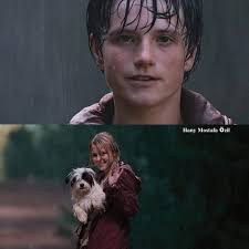 𝐘𝐨𝐮𝐫 𝐮𝐥𝐭𝐢𝐦𝐚𝐭𝐞 𝐁𝐨𝐲 𝐌𝐒𝐀 𝐜𝐫𝐮𝐬𝐡. 𝐆𝐨. 🔥 𝐌𝐢𝐧𝐞:  𝐋𝐄𝐎𝐍