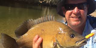 Top 5 Cape York Barra Fishing Spots