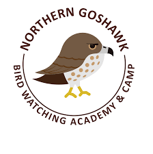 Valentine's day coloring pages from hallmark. Northern Goshawk Bird Watching Academy