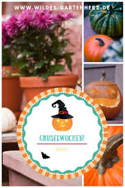 Die Gruselwochen Beginnen Garten Gartenblog Diy Halloween Deko Gartenblog Garten Schone Blumen