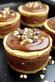 No Bake Chocolate Peanut Butter Mini Cheesecake Recipe In 2020 Desserts Mini Cheesecake Recipes Mini Cheesecakes