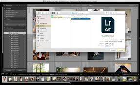 I want my adobe lightroom catalog on my desktop to be in sync with the one on my laptop. How To Backup Your Lightroom Catalog Shootdotedit
