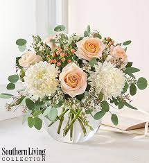 Maybe you would like to learn more about one of these? Peach Splendor By Southern Living From 1 800 Flowers Com