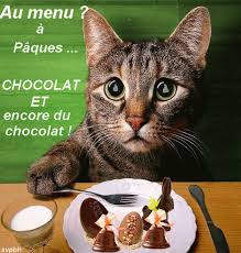 Résultat de recherche d'images pour "gifs droles lapin de paques"