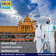 We are an iso 9001:2008, 14001:14004 certified company and are a member of indian pest control association (ipca) and national pest management association. Best Termite Pest Control Service Bangalore Termite Control Bangalore
