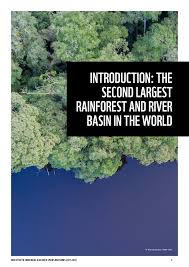 Image result for Globimetula kivuensis