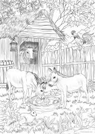 Pin On Farm Coloring Pages