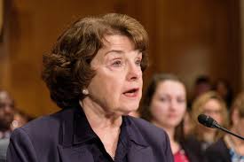 Exploring Current Practices in Cosmetic ...