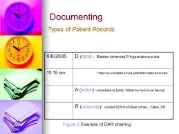 Module Documenting Recording Or Charting Ppt Video Online