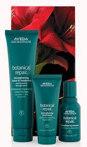 Botanical Repair Strengthening Hair Trio Aveda In 2020 Aveda Skin Care Gifts Hair Maintenance