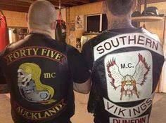 Image result for ]southern vikings