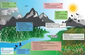 Acest software este o soluție pdf offline care include un instrument pentru creatorul pdf24 aduce toate instrumentele pdf24 pe computerul tău ca cerere de angajare pentru desktop. Threats Posed By The Fungal Kingdom To Humans Wildlife And Agriculture Mbio