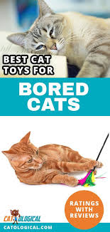 Cats do get bored, and it is one of the most common causes of obesity and stress in indoor cats. Cats Do Get Bored Yes And If You Don T Want Them To Start Tearing Up Your House As A Result You Might Want To Have Cat Toys Cat Parenting Cat Stuff
