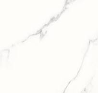 Calacatta White Porcelain Tile - Matte