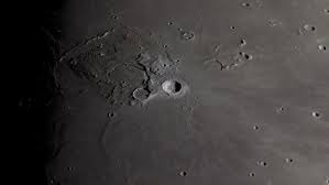Image result for Moon White 1980 ABB Comeng