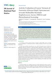 Image result for Funtumia africana