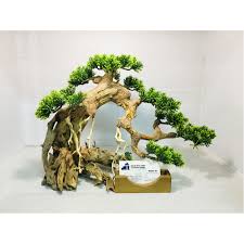 Bonsai Driftwood For Wholesale Bonsai Driftwood For Sale Aquarium Driftwood