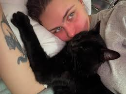 Still missing from sawyer and 9th st in Rockford. Kota is my 9 year old  male chihuahua he is missed terribly. Any information please message me. He  is a part of are