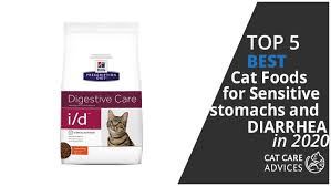 best cat food for diarrhea sensitive