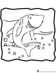 Some of the pages include activities too. Shark Coloring Page Woo Jr Kids Activities Children S Publishing