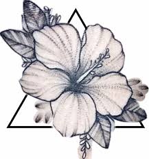 Pinterest Pashtonfruit In 2020 Hibiscus Flower Tattoos Hawaiian Flower Tattoos Flower Tattoo Shoulder