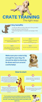 Check spelling or type a new query. Dog Crates Pro On Twitter Crate Training The Right Way