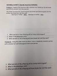 The trait that shows outwardly in the first (f1) generation (offspring). Solved Dihybrid Punnett Square Practice Problems Problem Chegg Com