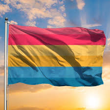 Bandera del orgullo pansexual (es); New Pansexual Flag Lgbt Flag Gifts For Pansexuals