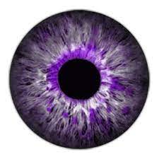 12 Astounding Learn To Draw Eyes Ideas Eye Drawing Eye Texture Eye Art