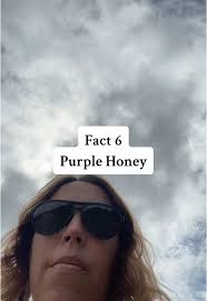 Purple Honey Farms