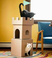 Fabriquer Arbre A Chat Carton 02 Maison De Chat En Carton Maison De Chat Fabriquer Arbre A Chat