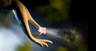 Nhân quả báo ứng: Trời ban phúc cho người hành thiện - Tân Sinh