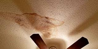 Roofing leaks can be relatively easy to fix, requiring no more than a bit of roofing cement to close a hole or small area of shingle damage; Roof Leaks Mold Caused By A Leaking Roof Environix