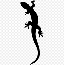 Check spelling or type a new query. Lizard Gecko Clipart Png Image With Transparent Background Toppng