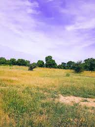pin by عقرب للانتاج الفني on عقرب ميوزك country roads road country