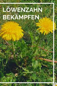 Ein bewährtes hausmittel gegen husten ist ein einfach selbst herzustellender hustensaft. 75 Diy Gartendekoration Ideen Diy Gartendekoration Gartendekoration Garten