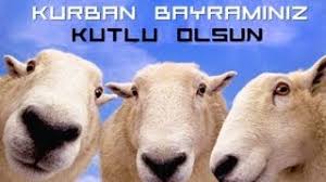 Maybe you would like to learn more about one of these? Kurban Bajram V Turcii Turkey Izmir Youtube