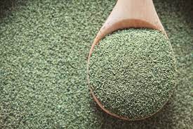 Another vital characteristic of seaweed is its. Was Ist Kelp Meal Und Welche Vorteile Haben Algen Beim Hanfanbau Humboldt Seeds
