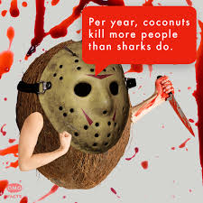It cited 16 injuries from falling coconuts, with most being upper limb fractures or skull fractures, but no deaths were reported. Omgfacts It Is Estimated That Falling Coconuts Kill About 150 People Each Year Facebook