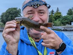 Does anyone here noodle and do Bullheads count as catfish?